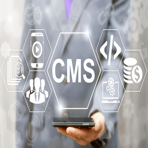 You are currently viewing Why You Need CMS Updates: Security Protection